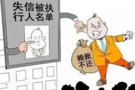 邵阳县债务清欠服务